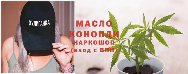 соль ск Медногорск