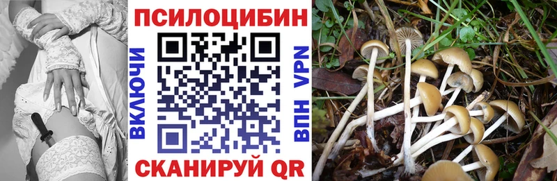 Псилоцибиновые грибы GOLDEN TEACHER  hydra ССЫЛКА  Яранск 